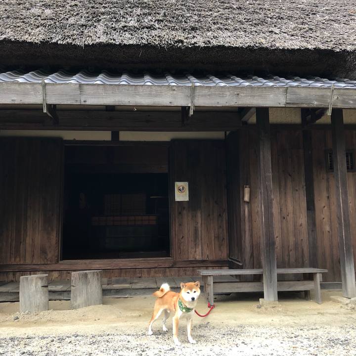 0cf5798e 1dd2 42ee 91f9 496d4a22750a 1540463619363