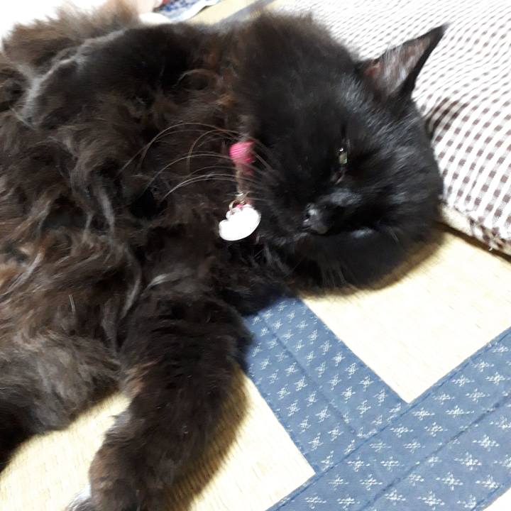 0cf5ab19 4fdf 40ea 92c6 fb3ca4d80ea6 1535019828949