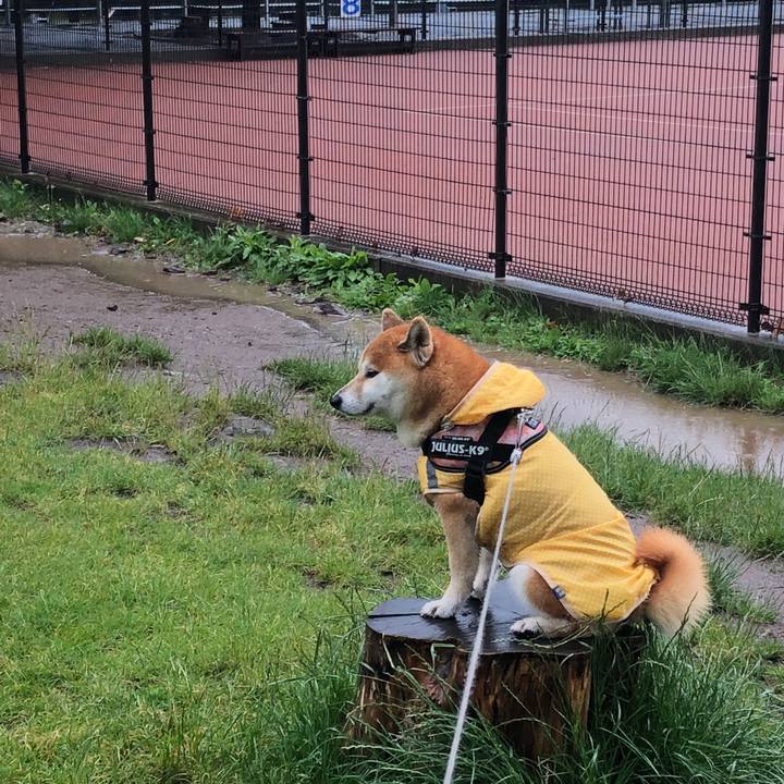 0cf5ce6d 668a 4ff2 a5dd 759f400ba047 1530077257870