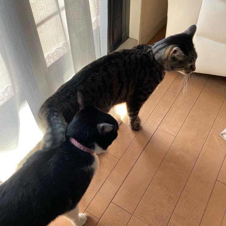 0cf5df18 362d 4ecd b58e b41dd62a112f 1615345684119