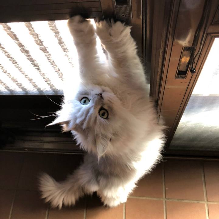 0cf5f452 7e23 4c0f 955a b498a44690c4 1583495895194