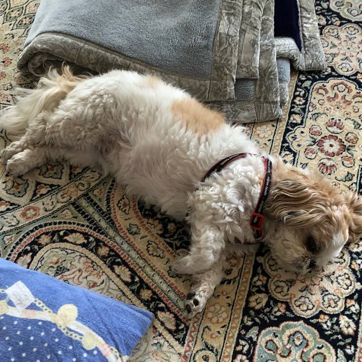 0cf5f8e9 6b53 4290 8e07 010070a6991c 1561681986815