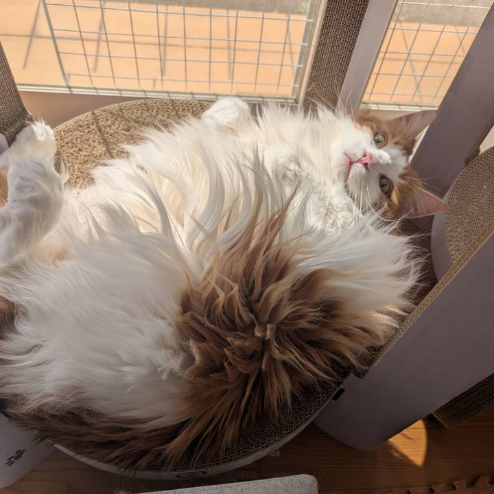 0cf625a8 6835 45ea bc0f 746e751b99ca 1743044127576