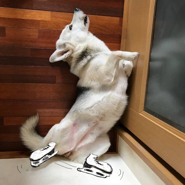 0cf6367a babc 4368 bc95 3416f71985cc 1588341425410