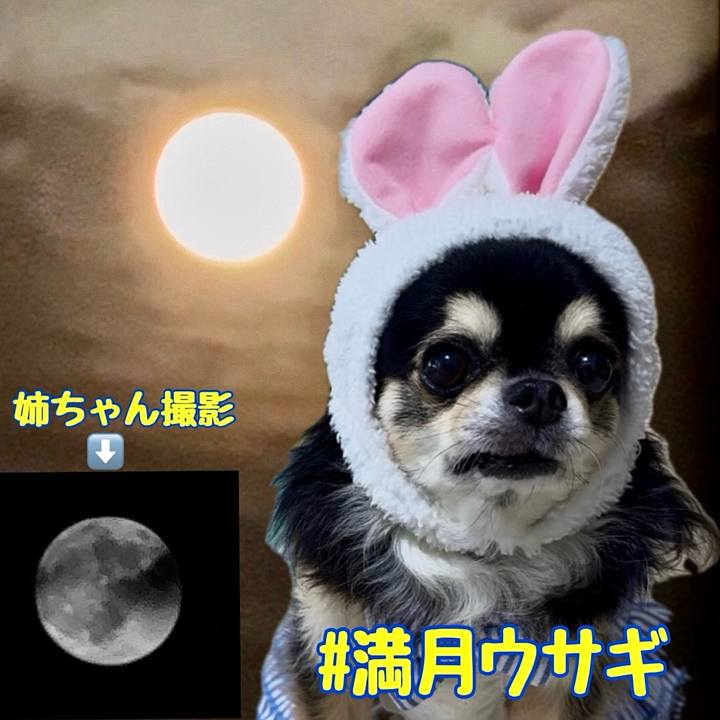 0cf647df 1c56 445f abb7 d8fbd2965b68 1759744087318