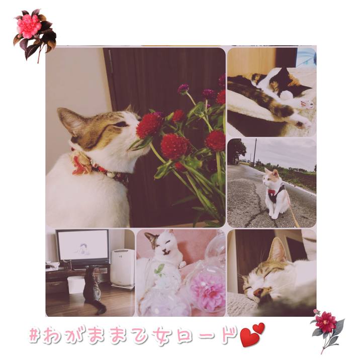 0cf665f9 93eb 451a 8acf b5bbed468bb9 1568889860128