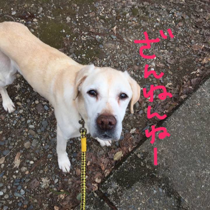 0cf69a98 5396 4c06 88fa 4e29226646b6 1521362445111