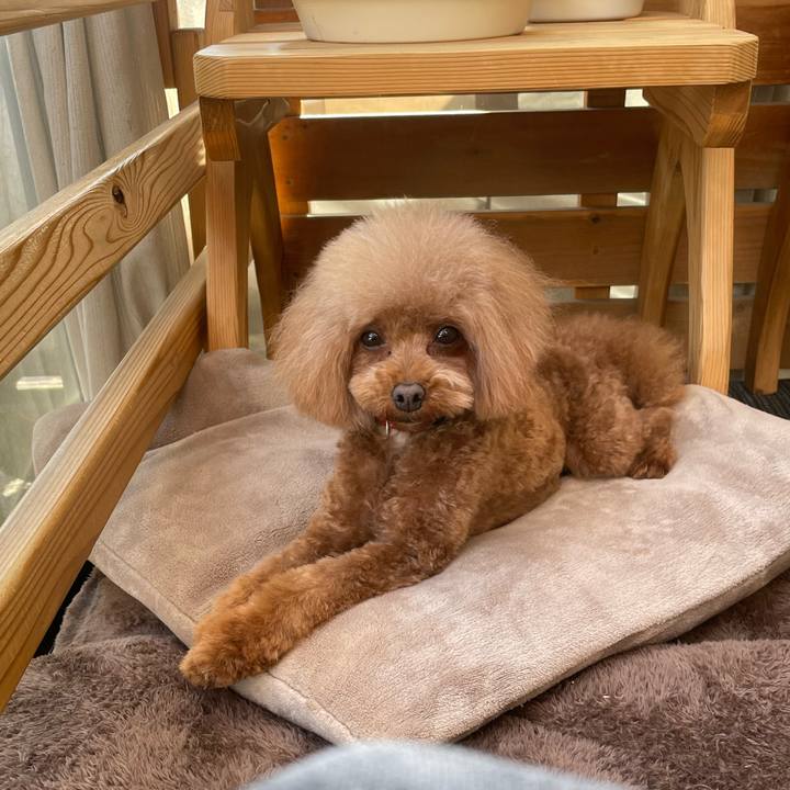 0cf6a458 0ffe 444e b560 79cb1ad45076 1645861415678