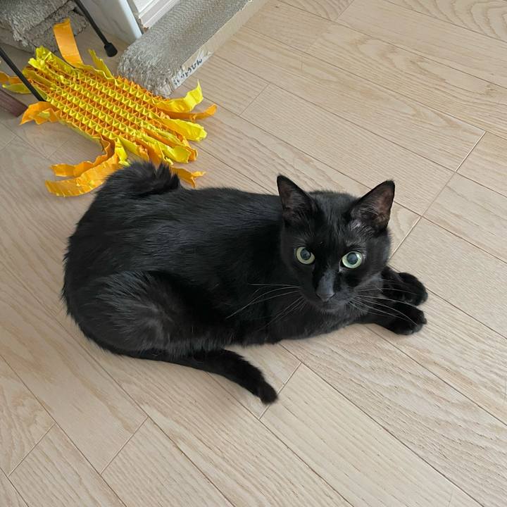 0cf6ac4b edce 4313 bb45 2b7e709e59d9 1684541809957