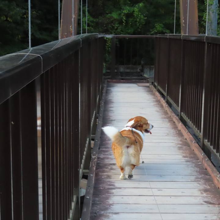 0cf72153 a9f8 421b 973c b70d359d4fac 1666569694096