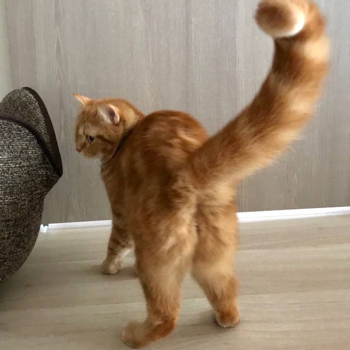 0cf73229 77fc 4f18 912f c2bc453294e0 1521413585463