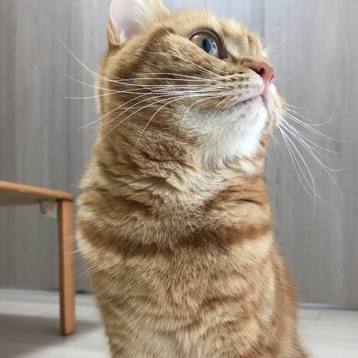 0cf75f62 a134 49f8 8891 6ae1800c2cbc 1508497945224