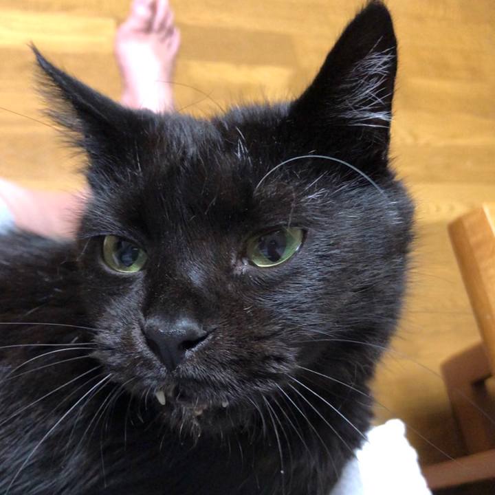 0cf78d79 f1d9 44af 90d0 4ad778b5780a 1599576584488