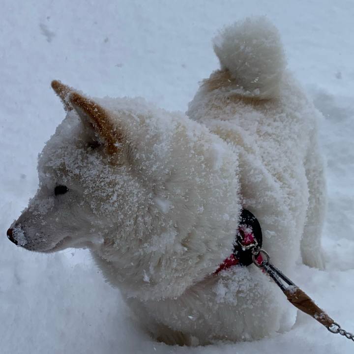 0cf7bdb9 1607 4411 9d6d 9833205e9ce5 1581383428843