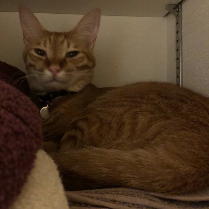 0cf7c3c8 2fe7 45a8 963d c6c47b1e0fd1 1630408010616