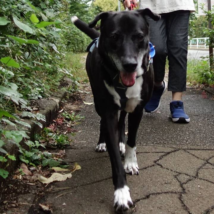 0cf7c539 8217 4fea b40d 4b4e9f1e531b 1728084259131