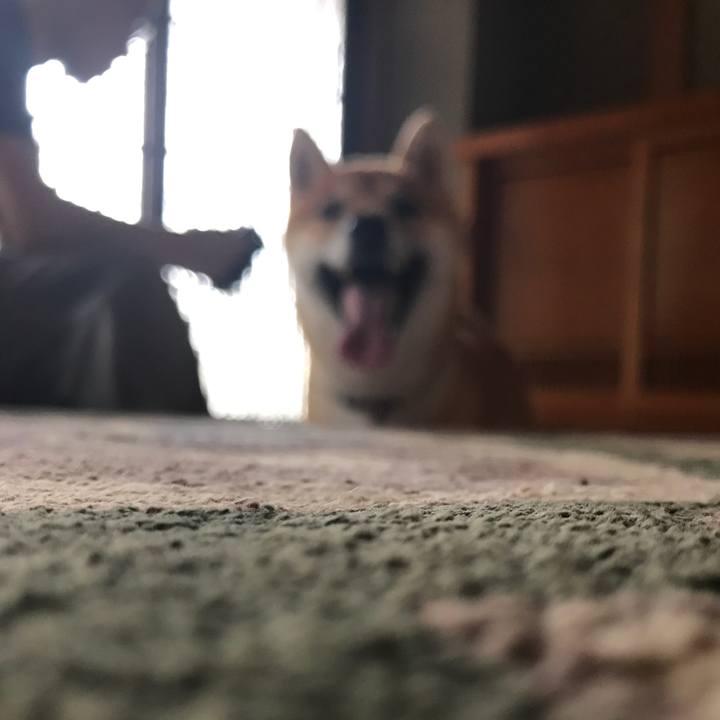 0cf7dccc 0f8d 414f 97ad b5e2bb1cef60 1524313972168