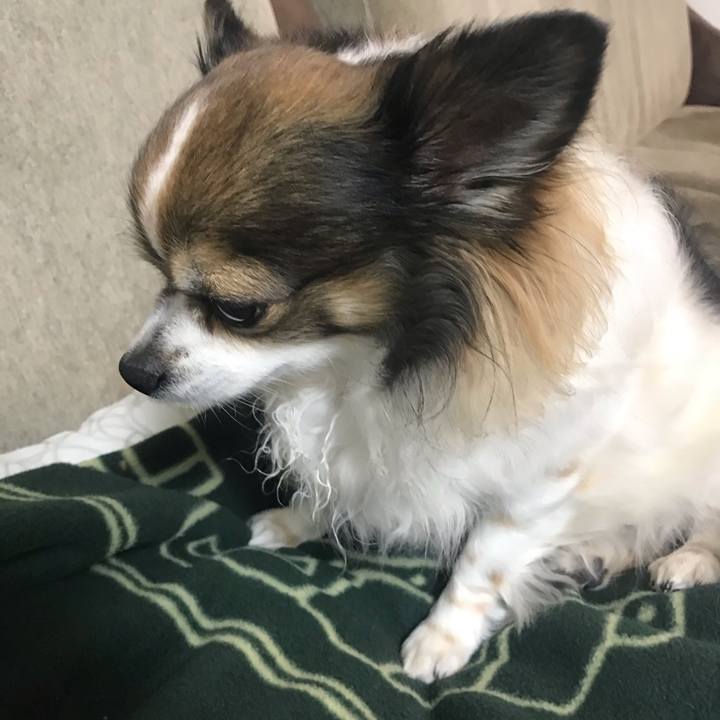 0cf81aec 142d 41f8 a213 7516d96654d8 1615469942211