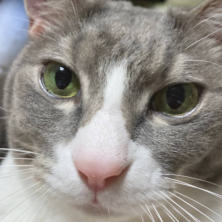 0cf82b1b 8ff2 4c74 8893 8c87286323e5 1640688591050