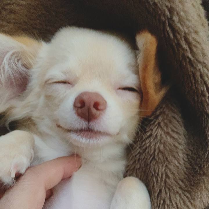 0cf83259 efbd 45d6 a96e bd17e750c497 1596764784258