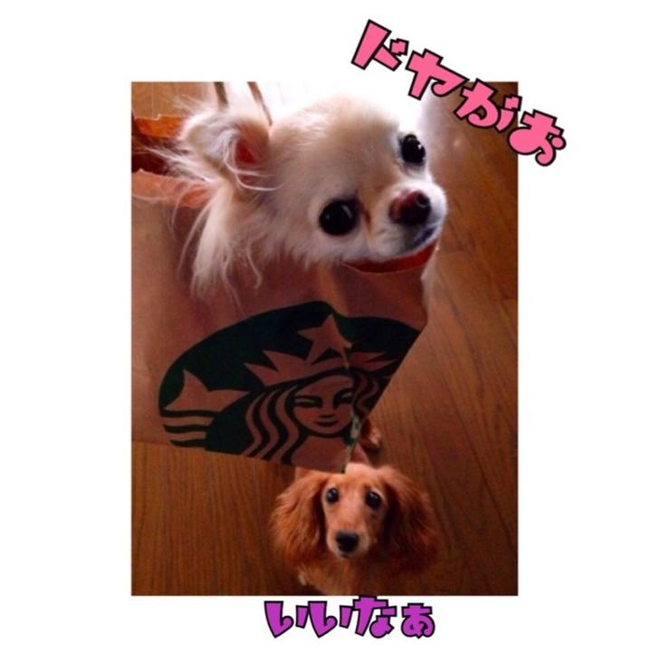 0cf8535a ef3d 472a 9753 876ed2cdf25b 1511139633405