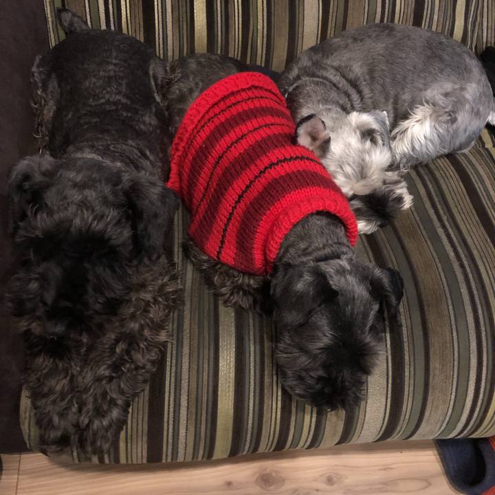 0cf884ce 9914 46d5 9c6c 61b5c92ba351 1544708904140