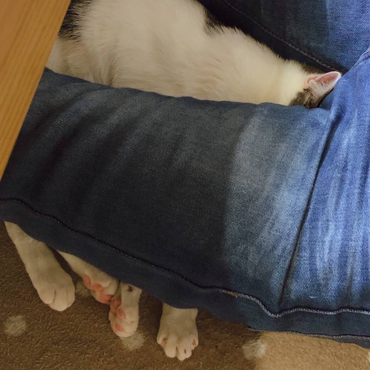 0cf88d30 fdd7 48b8 8cc7 929348f1039a 1578126730677