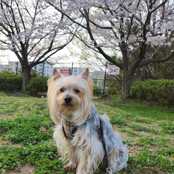 0cf89163 f619 401b 831d 851f1acd5e77 1712441915397