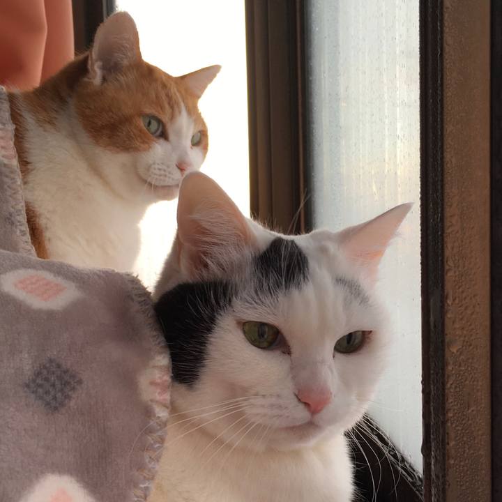 0cf8d017 dde3 455e 8a0a f76e963e9c46 1613630251857