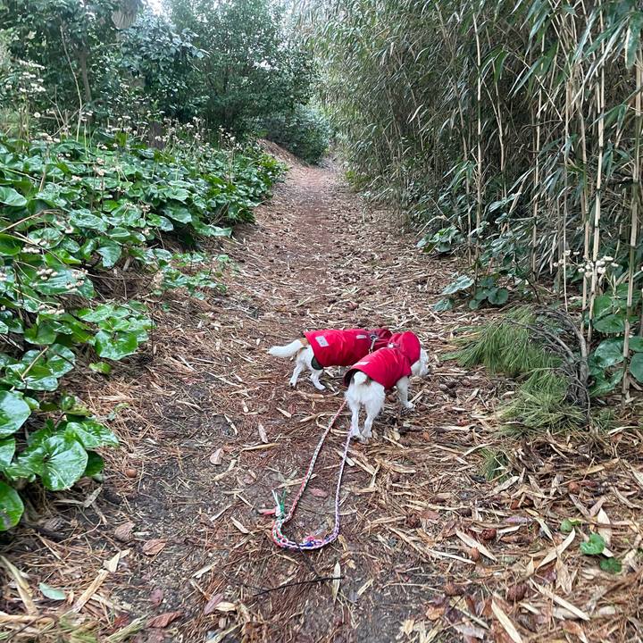 0cf8dc02 cd7d 4e6a 97ec 13221a62d68a 1773361892643