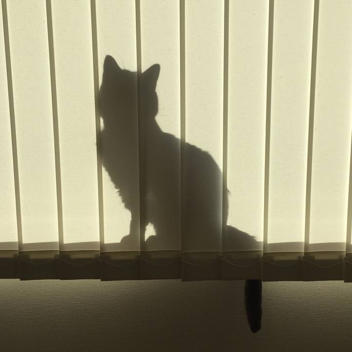 0cf8ec65 f49d 4725 9fb0 0d6c421f0367 1538970536824