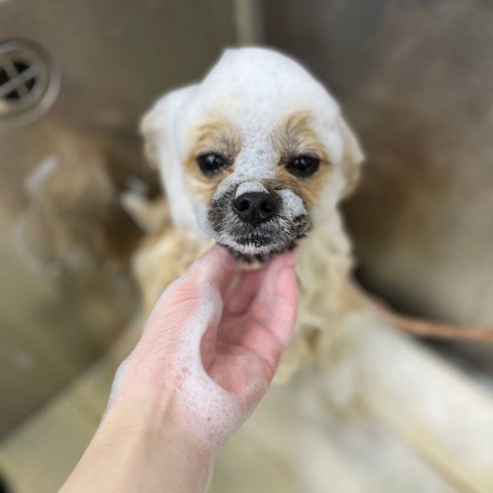 0cf9016a 9dc6 42cc 95a9 4c56c521c764 1657279695963