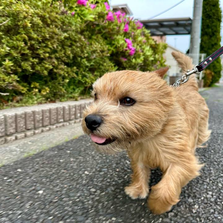 0cf9220f 20ac 448a b35e 646317d97df8 1745354520100