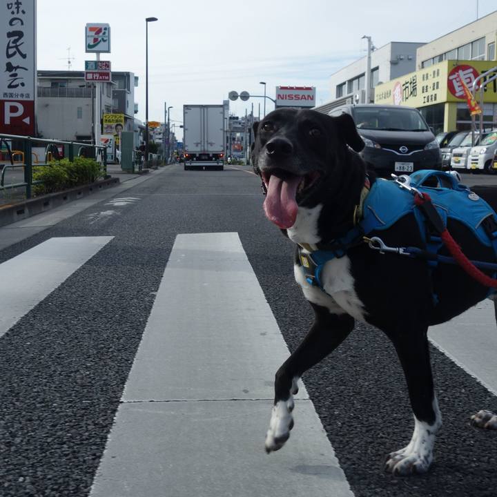 0cf94065 ac86 4622 a269 93db8e621cd3 1631061448022