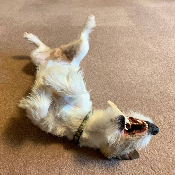 0cf942d4 5a9f 4376 9116 6e9ad6cf8783 1583368745377