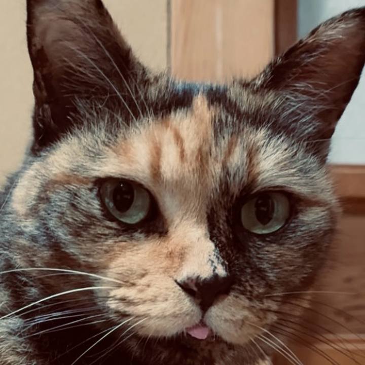 0cf957d1 9398 4a1d 9de7 2507094dcc8a 1754877467609