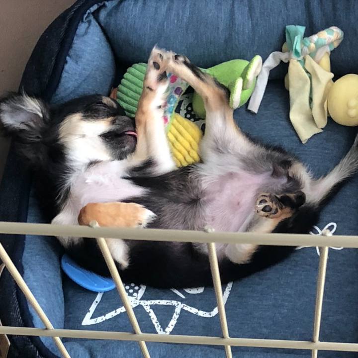 0cf98a67 0810 4ca8 a04e a4dc5bfedc3b 1538862316339