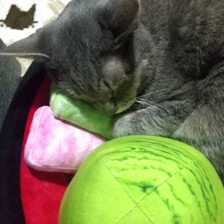 0cf9be90 898b 4ab6 ab83 b5450cc25dae 1670252088718