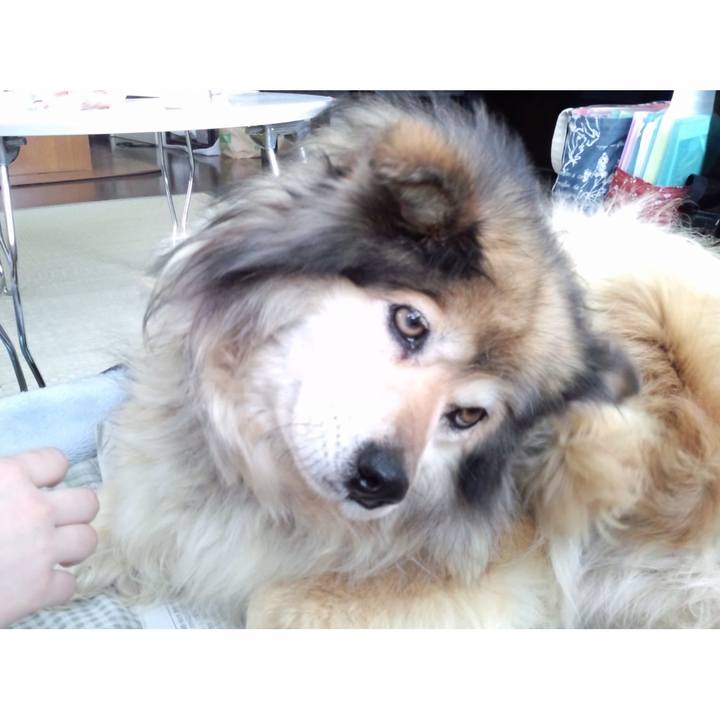 0cf9c4ef 32c7 4a80 ae0b 66cbe1208715 1664269851102