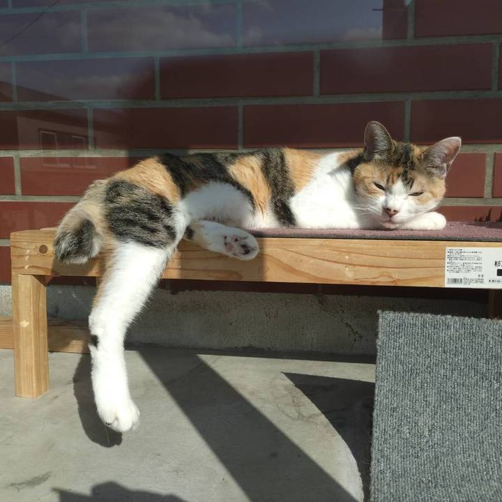 0cf9c9d5 2183 42ab a95c fc38a01eb543 1748072913250