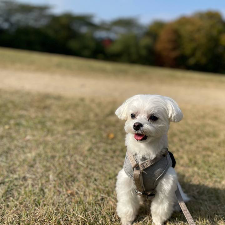 0cf9e197 f35f 4b39 b392 566296ae33da 1763730311405