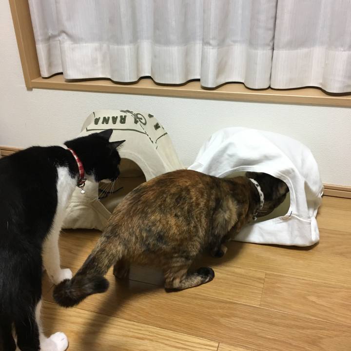 0cfa0506 494a 40ea 8fd4 16baa9ccd868 1526774656264