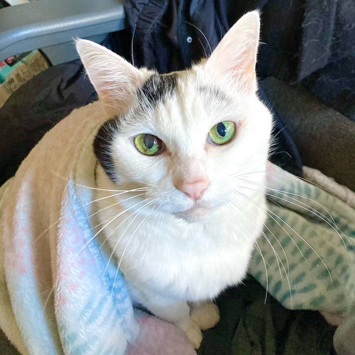 0cfa2e7b 2e82 49ae ae95 18357502850a 1672180555329