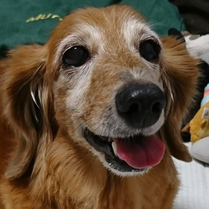 0cfa5d94 085b 4292 8140 1722cbf1a001 1573149336204