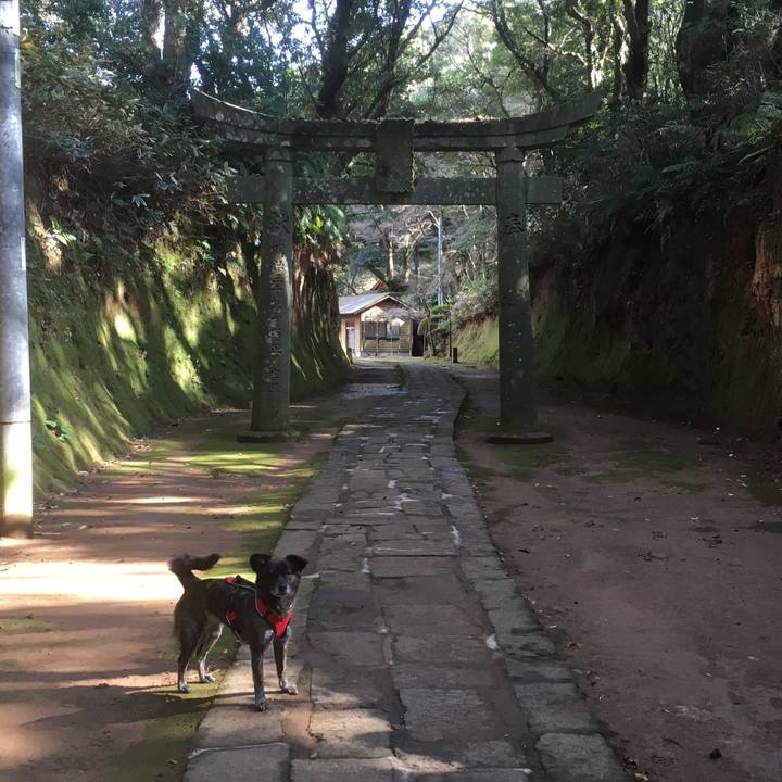 0cfa612a 20fb 4d68 86f7 5729562b5771 1548429743490