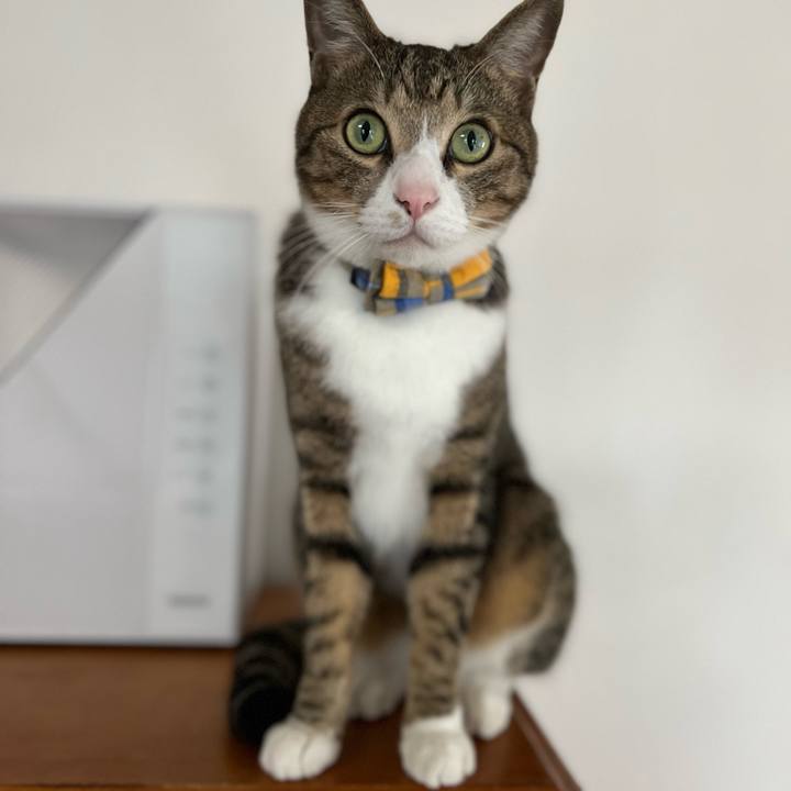 0cfa6cb1 fb11 4caa 92d0 c51de7ce7a57 1747838016087