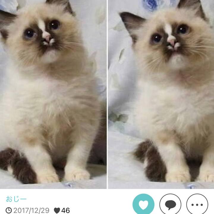 0cfa89f4 55c7 4b08 86eb c8730117ef27 1673620875060