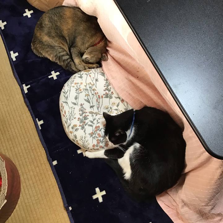 0cfa9885 695f 49fa bf53 e3333f4c4a63 1704617092997