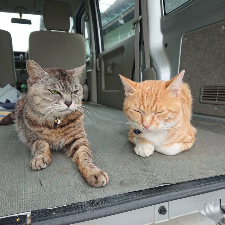 0cfabbf7 6829 4a51 8411 12b64eef26b9 1563089235684