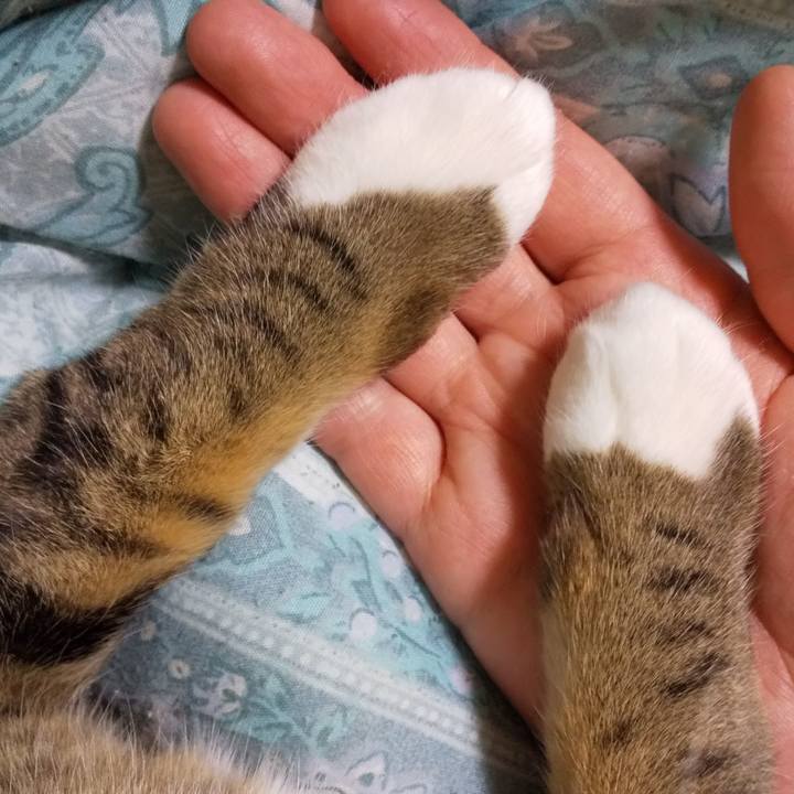 0cfaccf2 15d4 4187 8670 3d5c46e4ed1e 1648049364575